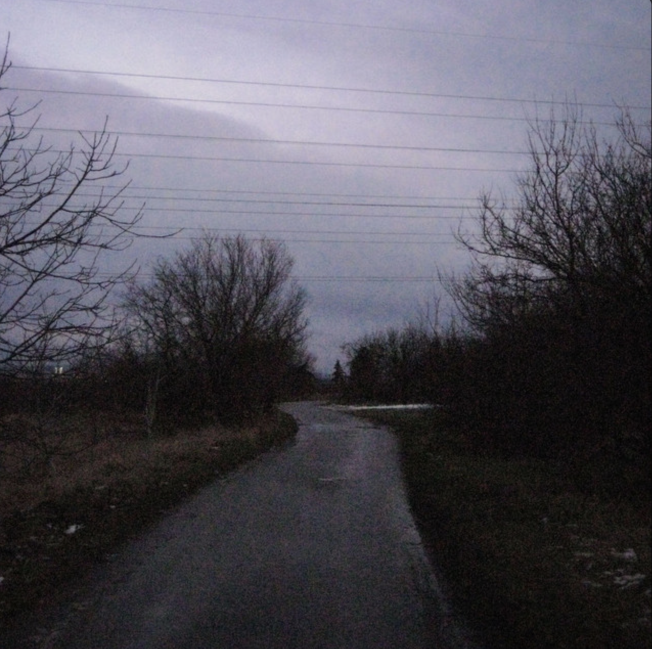 Song 2 Cover