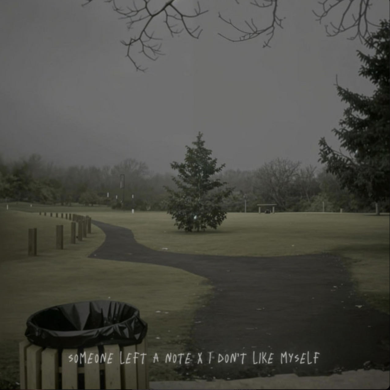 Song 3 Cover